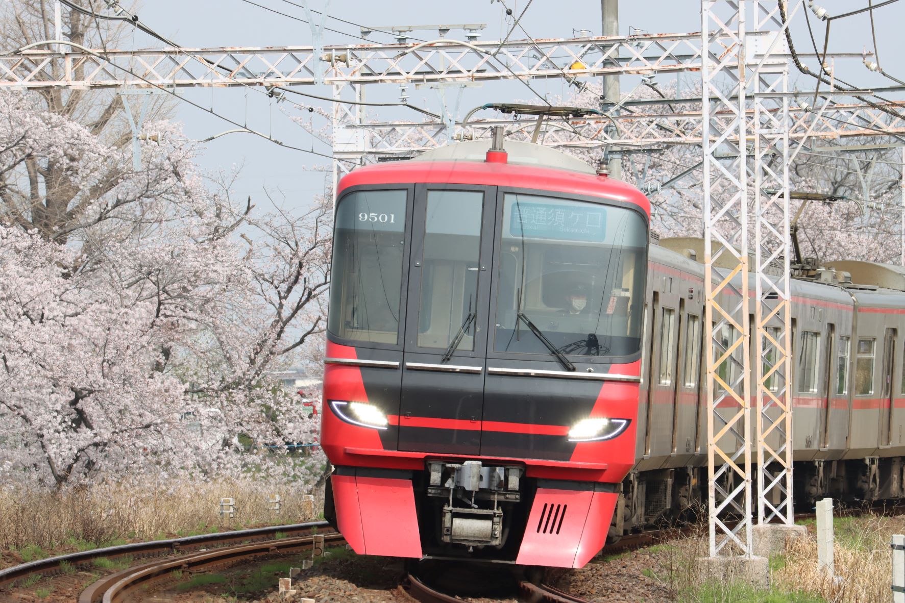 満開の桜の旧東笠松付近を走行する9500系