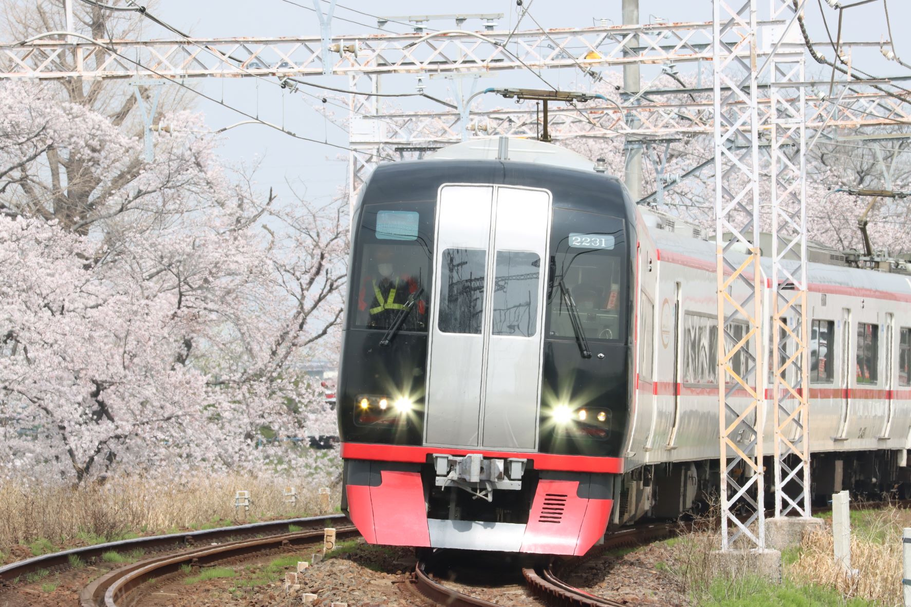 開の桜の旧東笠松付近を走行する2200系