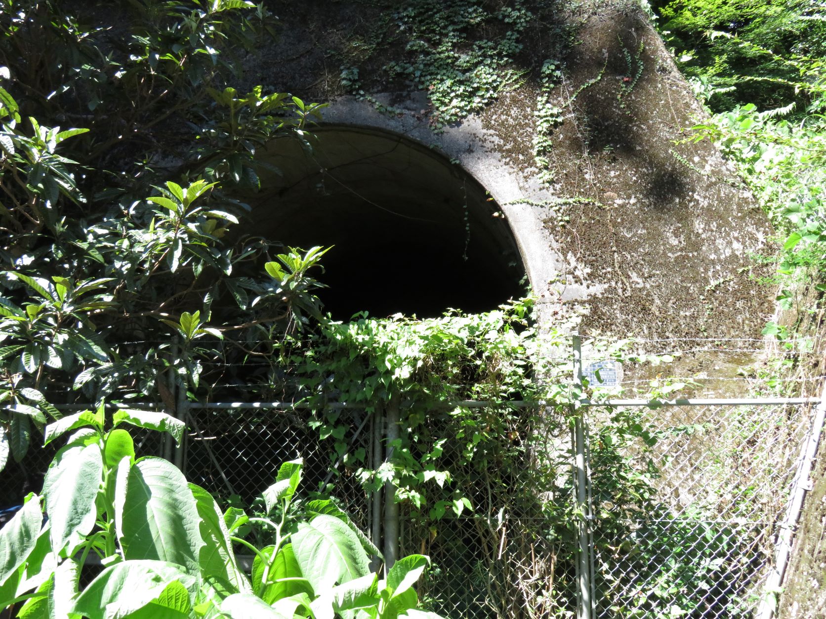岩日北線トンネル